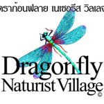 dragonflyLOGO